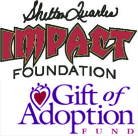 Impact Charity 