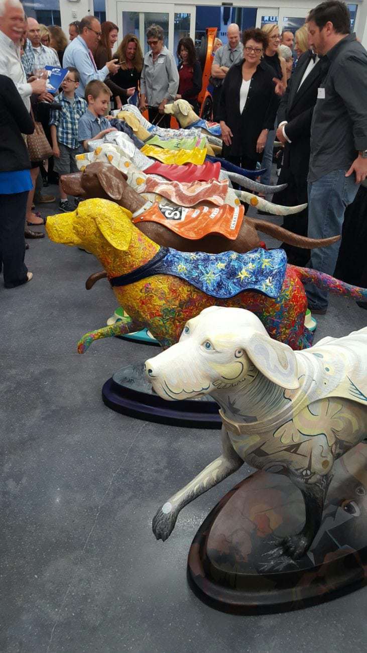 20160229_182601_resized