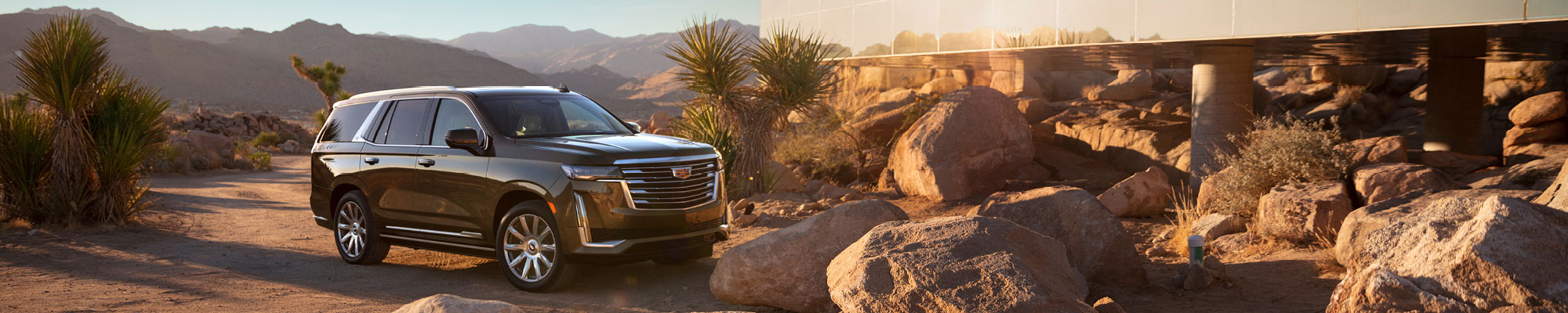 2021-Escalade-Dimmitt-Automotive-Featured