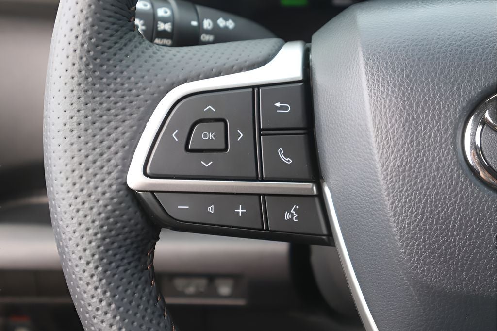 2025 Toyota Sienna Limited 7 Passenger