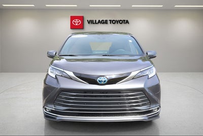 2025 Toyota Sienna Limited 7 Passenger