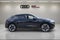 2026 Audi Q8 quattro