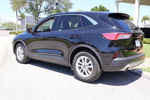 2020 Ford Escape SE in Clearwater, FL - Dimmitt Automotive Group