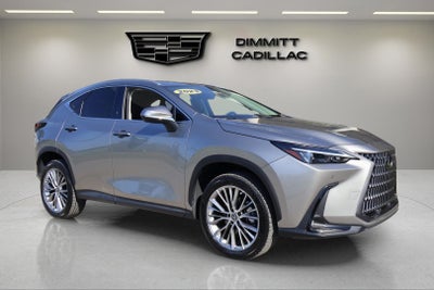 2023 Lexus NX 350h Premium