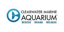 Clearwater Marina Aquarium
