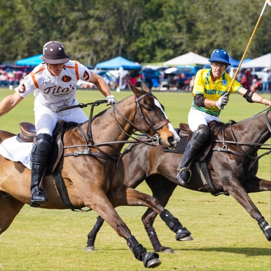 Dimmitt Brand Event Marketing Sarasota Polo Club